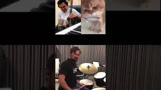 a cat's cavalcade of beggars, sin, and wine