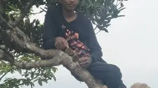 Vellarada