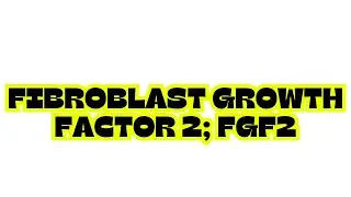 FIBROBLAST GROWTH FACTOR 2; FGF2