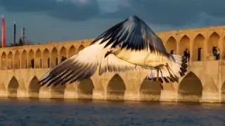 Magical Iran