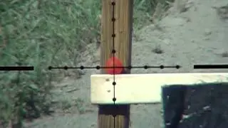 scopecam slow-mo air rifle shots