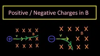 Different charges/particles, Same Magnetic Field - Different Trajectories?