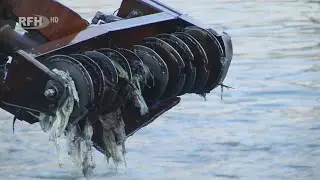 Teich bekommt eine Entschlammungs-Kur - Torteich wird nach Jahrzehnten gereinigt - RFH aktuell