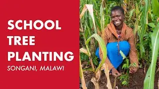 Songani School Tree Planting | Malawi