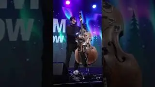 Meet DataBass #bassistsofyoutube #uprightbass