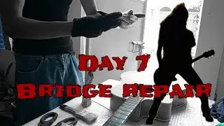 GUITAR REPAIR #1 Day 7 - TZO