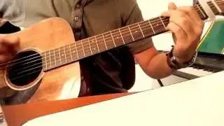 History this wild life guitar cover - by C.G