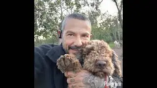 Buona Pasqua 2022 dalle  Code Allegre!🐣🐾🐶❤🔝