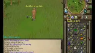 Grey Chin Hunting Guide