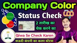 Check Company Color Status with Qiwa | Company Red Yellow Green Check | Employment Statuses Check