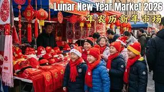 Chinese New Year Street Food Market 2026 | Spring Festival Eats