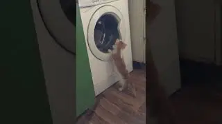 Мой любопытный маленький друг