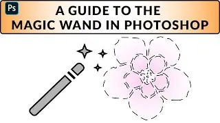 The Magic Wand Tool in Photoshop CC 2019