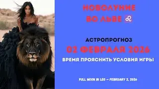 Полнолуние  02 февраля  2026 во ЛЬВЕ♌   Время прояснить  условия игры