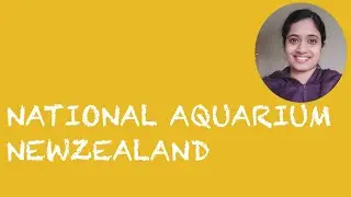 NEW ZEALAND AQUARIUM NAPIER#dreamyourlife #napier #holiday