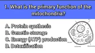 📚 Cell Physiology MCQ | High-Yield Questions for Medical Students | Test Your Knowledge!