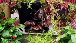 Gardening with Priyanka🪴🌺 is live!🌷🌷