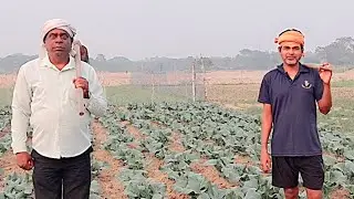 Vegetable Farming (Mallipur )