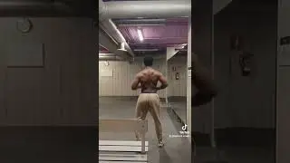 baki back