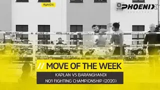MOVE OF THE WEEK - STRAMMER LINKER HAKEN