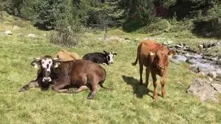 Val di Campo - settembre 2017