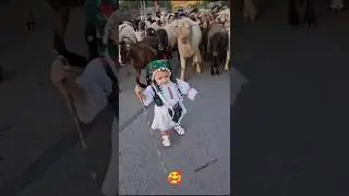 Hasbi rabbi jallallah #islamic #naat #trandingshorts