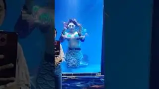 Indore underwater Aquarium #shorts#indore #aquarium #fish #mela#indoremela #indorevlog