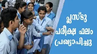 പ്ലസ്ടു പരീക്ഷ ഫലം പ്രഖ്യാപിച്ചു | Kerala plus two result 2019