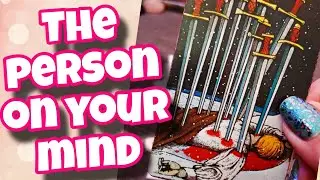 The person on your mind! | Timeless Tarot Card Reading | Hope Tarot Daily