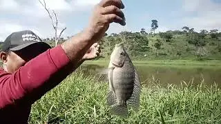 ESTA LAGOA MIM SURPREENDEU DE TANTO PEIXE #fishing #viral #borapescar#tilapia #traíras ##pescaria