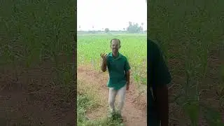 good afternoon all viewers and subscribers. sorry seeman sir.