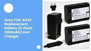 Sony FDR-AX53 Replacement Battery (2-Pack, 1200mAh) and Charger
