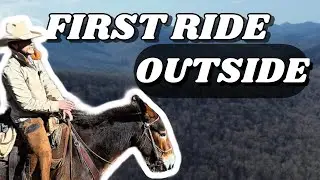 First TRAIL ride on a GREEN BROKE MULE | HOW DID IT GO? 