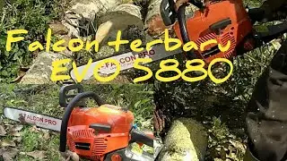 Uji kekuatan chainsaw falcon 5880 pro