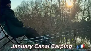 Freezing January Canal Carp💪🏻🎣