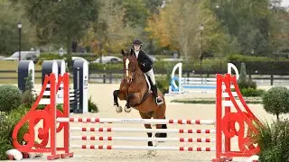 Favorit L - 2nd in the NCEA, score of 85