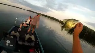 shallow weed summer crappie