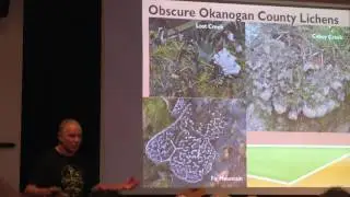 Lichen Part3 - Algae and Common Lichens