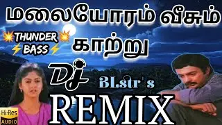 Malaiyoram Veesum Kaathu remix|#dj #remix #ilayaraja #oldsongdjremix