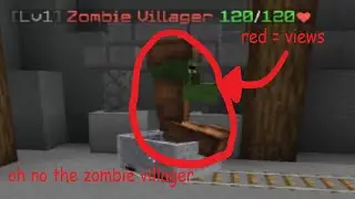 abusing zombie villagers.mp4