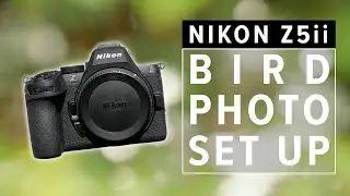 Настройка камеры Nikon Z5 ii для фотосъемки птиц | Меню и параметры камеры