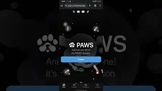 PAWS LISTING UPDATE: Paws Listing on Binance? Let's find out |  is Listing on 16th April?