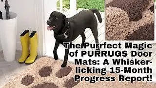 Why You Need PURRUGS Door Mats: 15 Months Use Update!