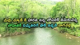 Chinni serial review మధుమ్యాడికి హారతిఇచ్చి లోపలికి తీసుకువచ్చి లోహితకిదిమ్మతిరిగేషాక్ఇచ్చిననాగవల్లి