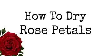 HOW TO DRY ROSE PETALS