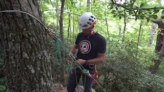 KnotPass