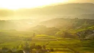 Digital Diary Piedmont | Langhe & Roero