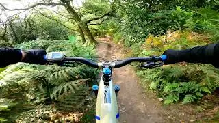 Surrey Hills MTB - Crackpipe ⚫ Trail