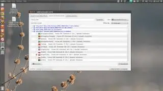 SubDownloader: A Lightweight And Fast Subtitles Downloader
