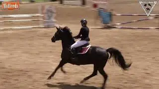 Class 6, Chantal Chelin, Rosefield Johnny Black